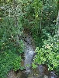 Ruisseau de Bêre-Ayguë