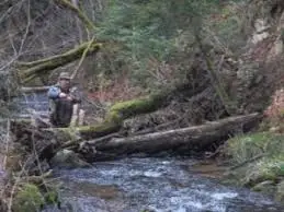 Ruisseau de la Fontaine des Saints
