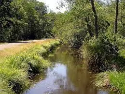 Craste de la Bargueyre