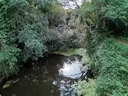 Ruisseau de Nasseys