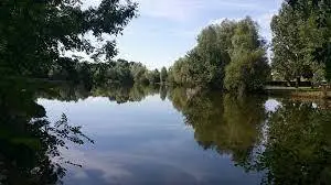 Etang des Marais