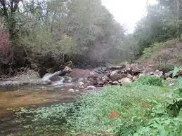 Pêche Ruisseau de Pourjaou