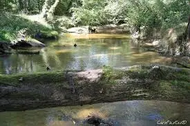 Ruisseau de Tirelagüe