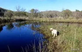 Grand Étang de la Maillouèyre