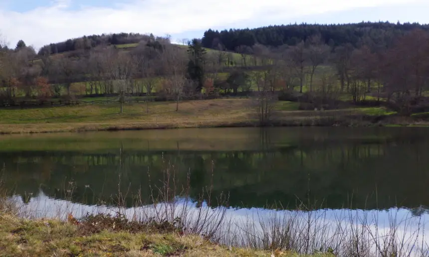 Plans d’eau d’Arfeuilles