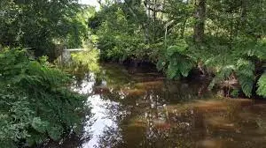 Ruisseau de la Caoue