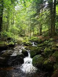 Ruisseau de Loullière