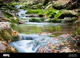 Fossé des Enchères