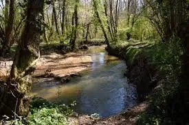 Ruisseau de Gueyrin