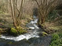 Ruisseau de la Carreyre