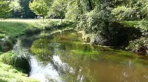 Ruisseau du Moulin