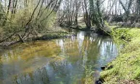Ruisseau de la Canotte