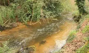 Ruisseau de Bernachot