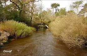 Ruisseau du Hourquet