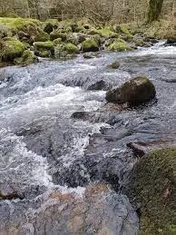 Ruisseau de Maubecq