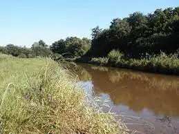 Ruisseau de la Palibe