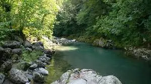 Ruisseau de Cante-Graouille