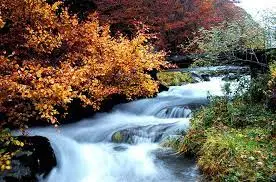 Ruisseau de Gardère