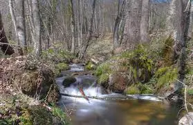 Ruisseau de Lacau