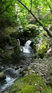 Ruisseau de Cazaux