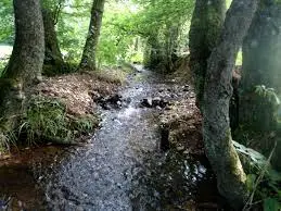 Ruisseau de Baillé