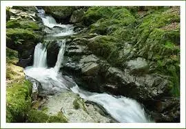 Ruisseau de la Rance