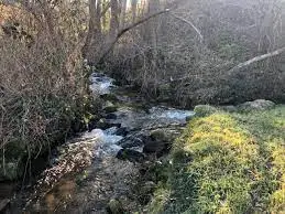 Ruisseau de Menjouec