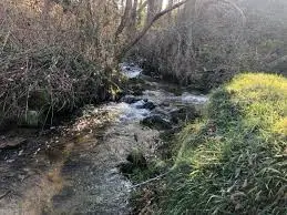 Ruisseau de la Goutte