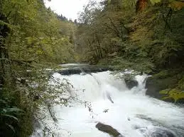 Ruisseau de la Gaube