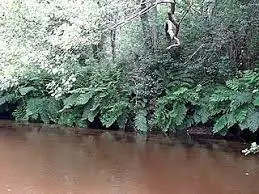 Ruisseau de Guiraout