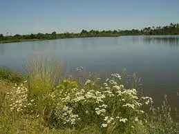 Lac Collinaire de Bretagne de Marsan