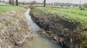 Ruisseau d'Argelouse