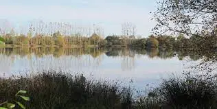 Plan d'eau de Chitenay