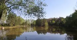 Plan d'eau de la Taille des Meuniers