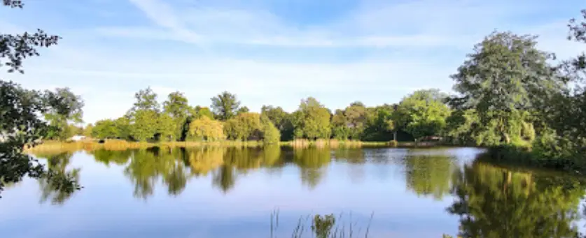 Les étangs à Nozay