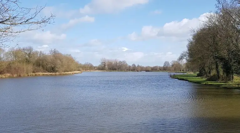 Site de Bout de Bois