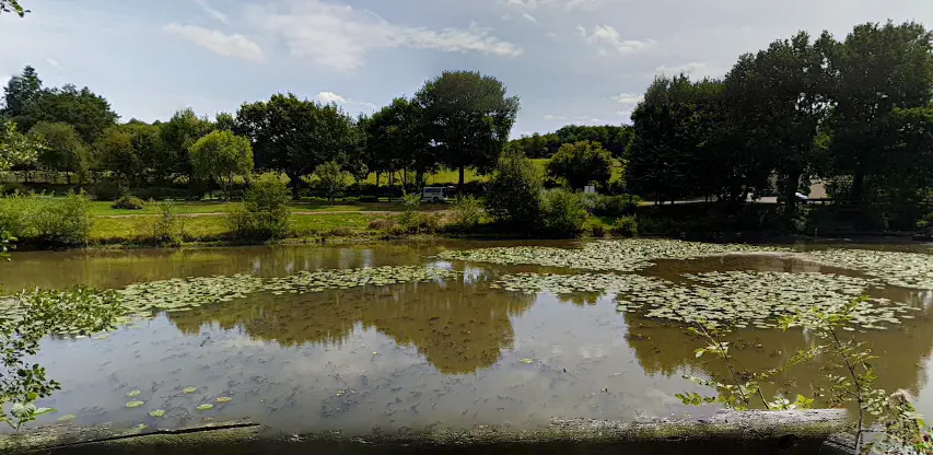 L'étang du bas du tertre à Saint Aubin