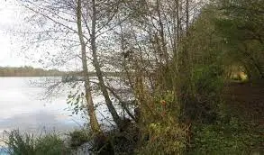 L'étang de l'Euzerais à Sion les Mines