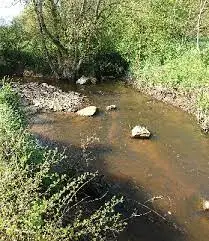 Parcours Loisir truite du Ruisseau du Pont Serin