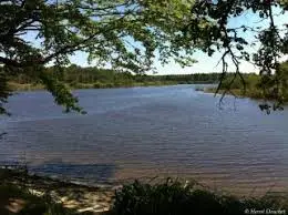 Étang de Morche