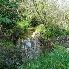 Ruisseau de la Motte Bucy