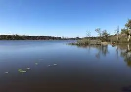 Ruisseau de la Noue Mazone