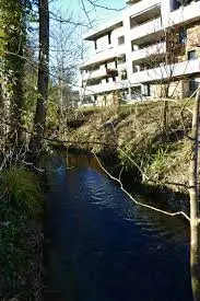 Ruisseau de Ravoir
