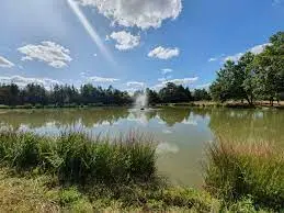 Etang de Saint Martin