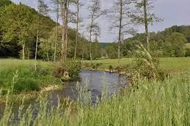 Ruisseau de la Papillotière