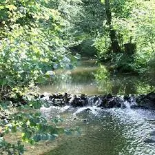 Ruisseau des Philiberts