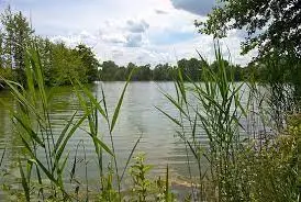 Étang du Petit Chaloy