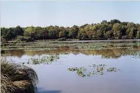 Étang des Boudinières