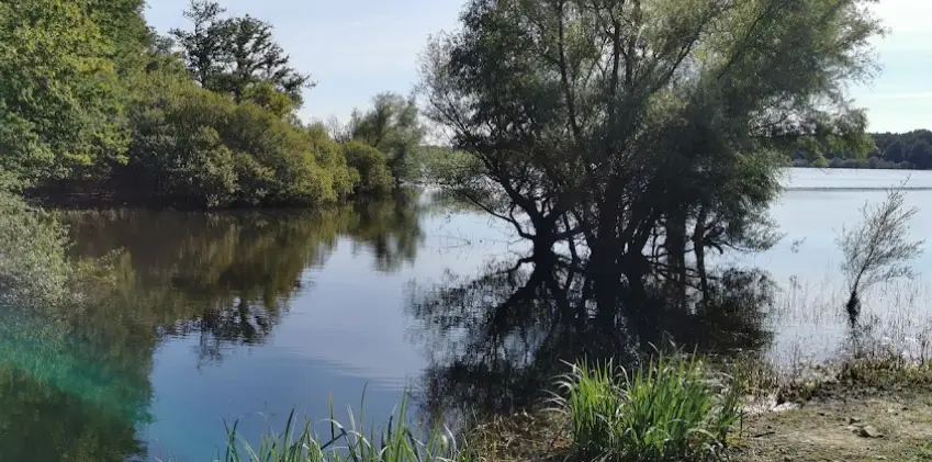 Étang de la Tuilerie