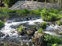 Ruisseau des Couapellières